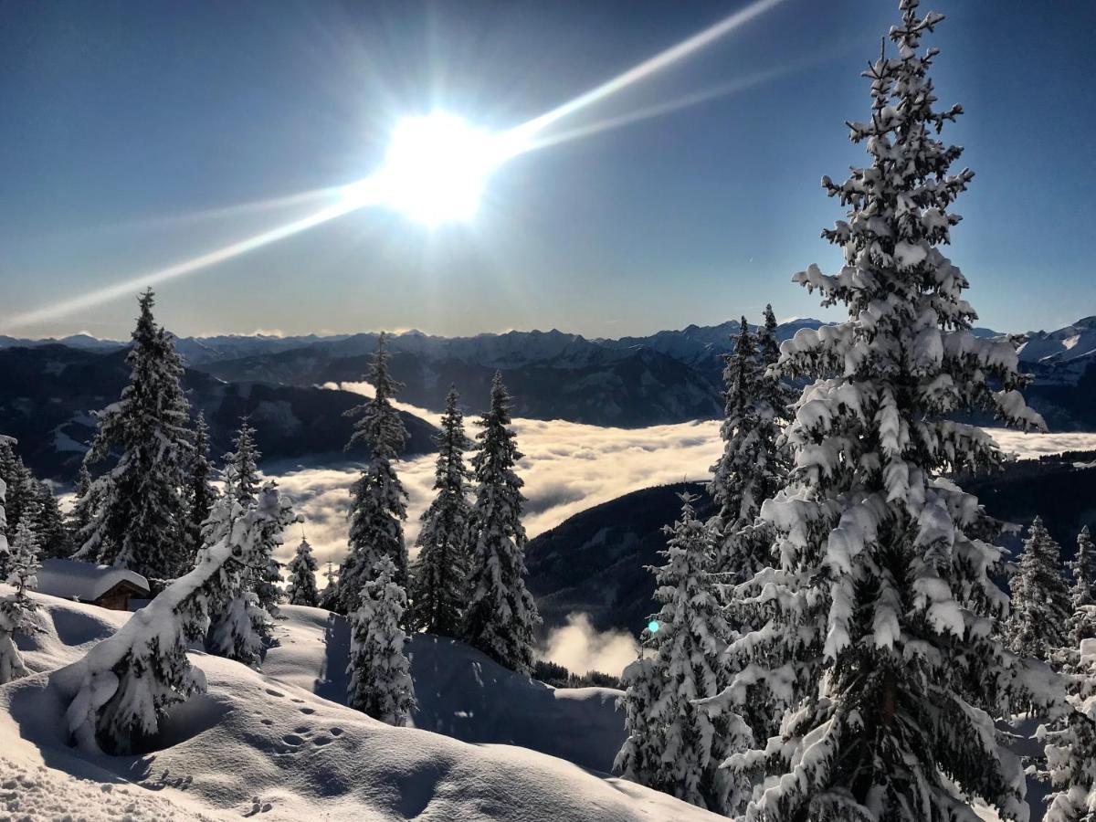 Landhaus Bergner Alm 푸슈안데르글로크네르스트라세 외부 사진