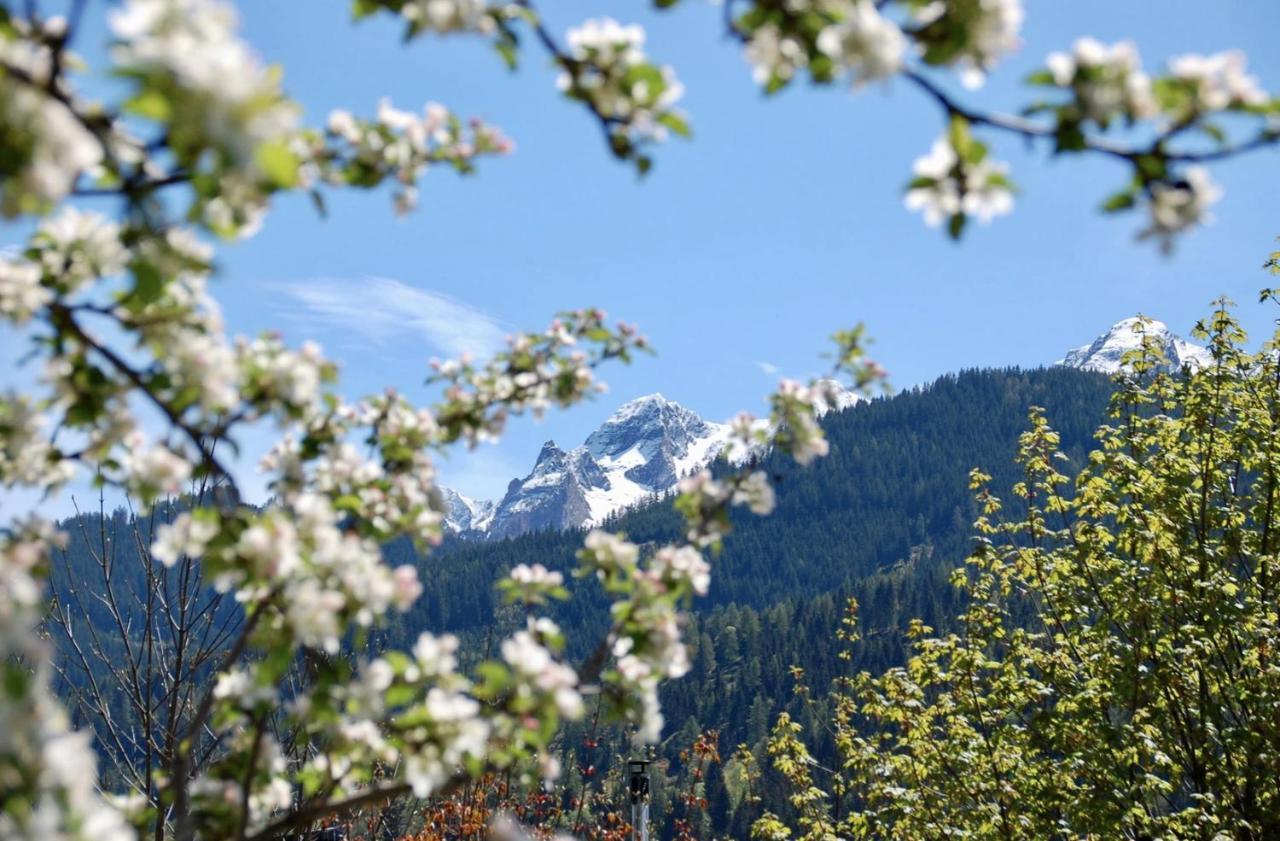 Landhaus Bergner Alm 푸슈안데르글로크네르스트라세 외부 사진