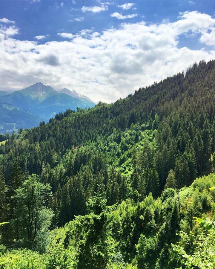 Landhaus Bergner Alm 푸슈안데르글로크네르스트라세 외부 사진